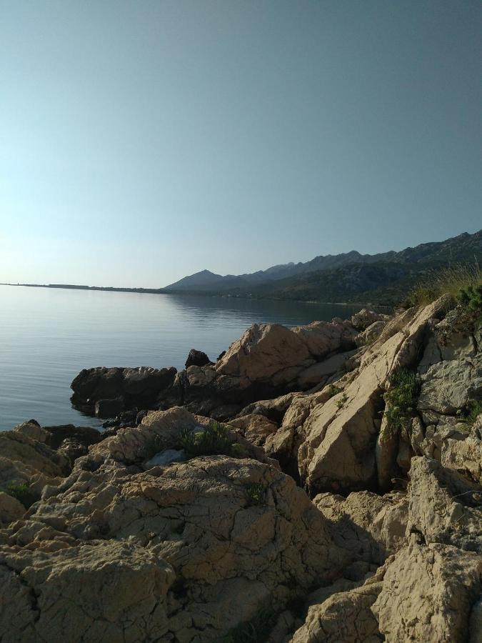 Apartman Larus Starigrad Paklenica Exteriör bild