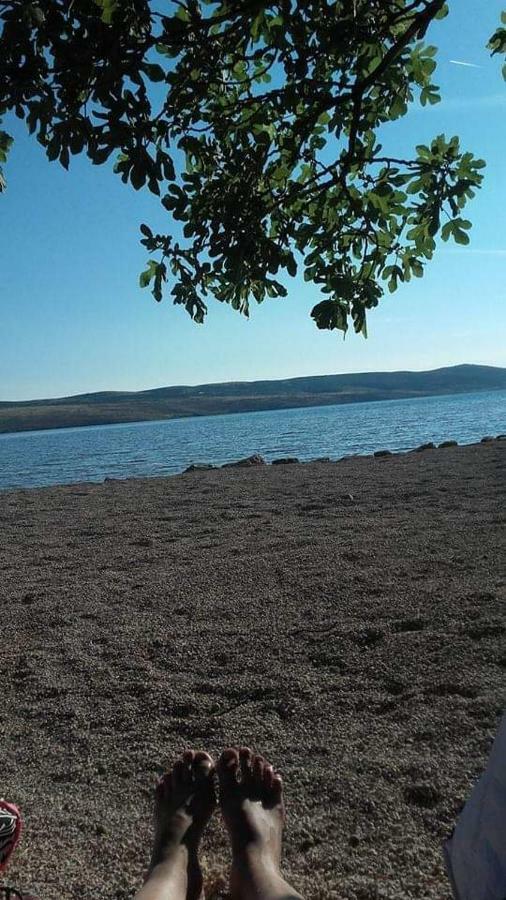 Apartman Larus Starigrad Paklenica Exteriör bild